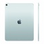 Apple iPad Air 13 - M4 - 128ГБ Wi-Fi + Cellular (Blue)
