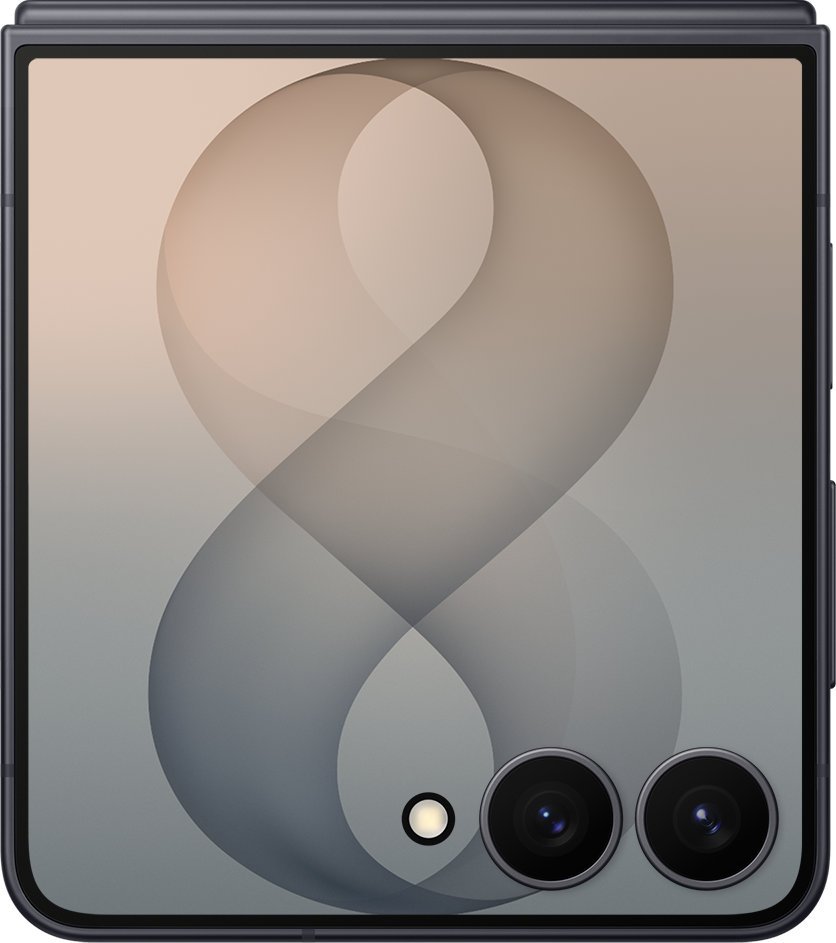 Samsung Galaxy Z Flip8 12/512Gb RU Graphite